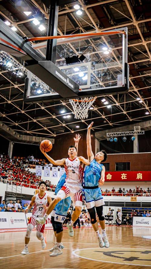 北京体育大学篮球考试直播的相关图片